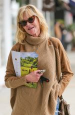 MELANIE GRIFFITH Out and About in Los Angeles 05/31/2017