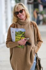 MELANIE GRIFFITH Out and About in Los Angeles 05/31/2017