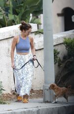 MINKA KELLY Out Walks Her Dog in Hollywood 06/23/2017