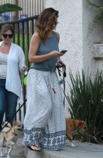 MINKA KELLY Out with Her Dogs in Hollywood 06/20/2017