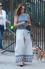 MINKA KELLY Out with Her Dogs in Hollywood 06/20/2017