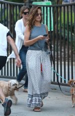 MINKA KELLY Out with Her Dogs in Hollywood 06/20/2017