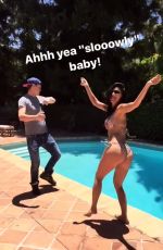 NICOLE SCHERZINGER in Bikini at a Pool, 06/20/2017 Instagram Pictures