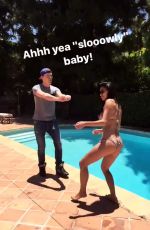 NICOLE SCHERZINGER in Bikini at a Pool, 06/20/2017 Instagram Pictures