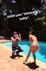 NICOLE SCHERZINGER in Bikini at a Pool, 06/20/2017 Instagram Pictures
