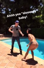 NICOLE SCHERZINGER in Bikini at a Pool, 06/20/2017 Instagram Pictures