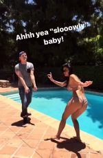 NICOLE SCHERZINGER in Bikini at a Pool, 06/20/2017 Instagram Pictures
