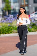 NICOLE WILLIAMS Out and About in Los Angeles 06/16/2017