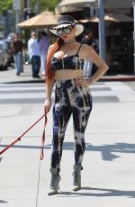 PHOEBE PRICE Out with Her Dog in Beverly Hills 06/02/2017