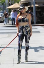PHOEBE PRICE Out with Her Dog in Beverly Hills 06/02/2017