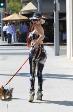 PHOEBE PRICE Out with Her Dog in Beverly Hills 06/02/2017