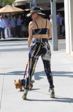 PHOEBE PRICE Out with Her Dog in Beverly Hills 06/02/2017