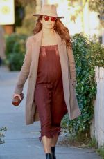 Pregnant NIKKI REED Out and About in Venice 06/08/2017