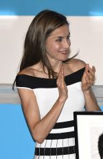 QUEEN LETIZIA OF SPAIN at Unicef Spanish Committee 2017 Awards in Madrid 06/13/2017