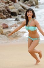 ROXANNE PALLETT in Bikini at a Beach in Santorini 06/16/2017
