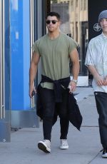 SOPHIE TURNER Out for Lunch in West Hollywood 06/13/2017