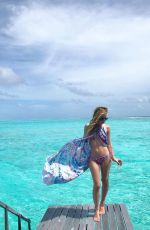 TARA LIPINSKI in Bikini, 06/27/2017 Instagram Pictures