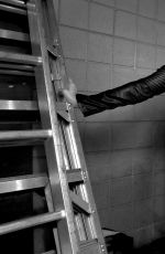 WWE - Extreme Rules Photoshoot