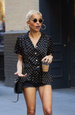 ZOE KRAVITZ Out Shopping in New York 06/09/2017