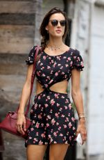 ALESSANDRA AMBROSIO Out Shopping in Venice Beach 07/26/2017