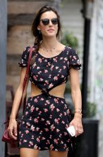 ALESSANDRA AMBROSIO Out Shopping in Venice Beach 07/26/2017