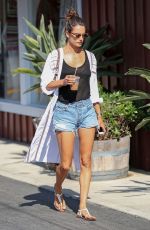 ALESSANDRA AMBROSIO Shopping at Brentwood Country MMarket 07/21/2017