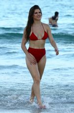 AMANDA CERNY in Bikini on the Beach in Miami 07/27/2017