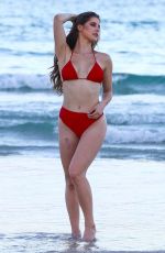 AMANDA CERNY in Bikini on the Beach in Miami 07/27/2017