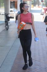 AMELIA HAMLIN in Leggings Out in Beverly Hills 07/12/2017