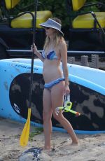 ANNA RAWSON in Bikini at a Beach in Hawaii 07/01/2017