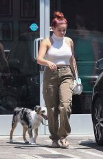 ARILE WINTER Out with Her Dog in Studio City 07/18/2017
