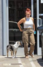 ARILE WINTER Out with Her Dog in Studio City 07/18/2017