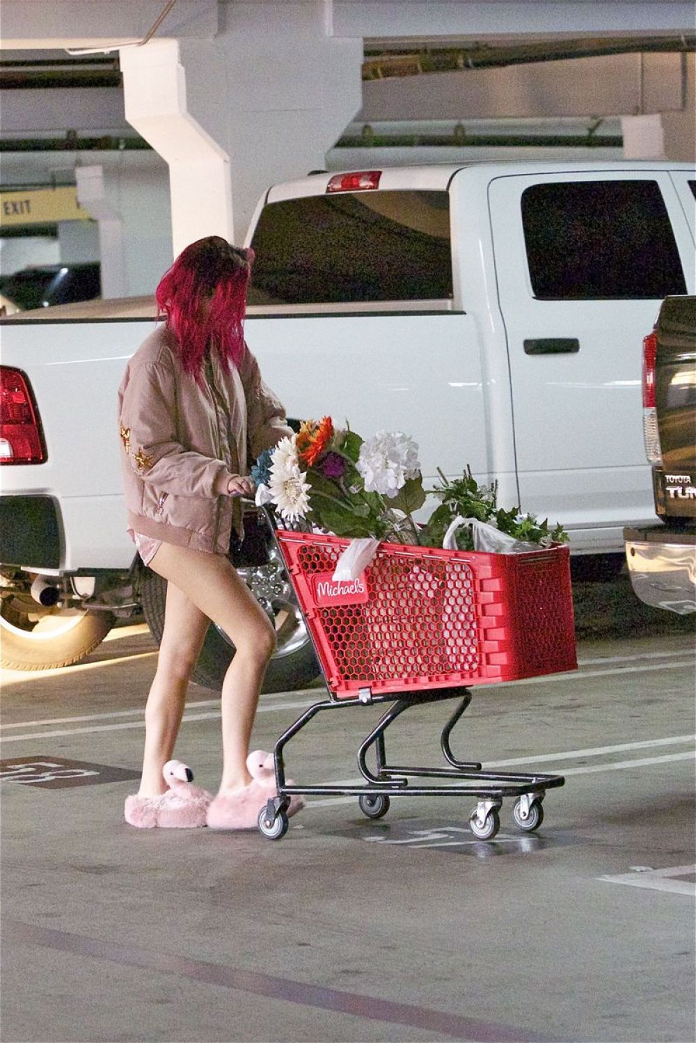 BELLA THORNE in Pink Flamingo Slippers Shopping at Michael BELLA THORNE in Pink Flamingo Slippers Shopping at Michael