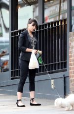 DAISY LOWE Out with Her Dog in London 07/03/2017