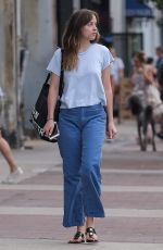 DAKOTA JOHNSON Out and About in Savannah 07/16/2917