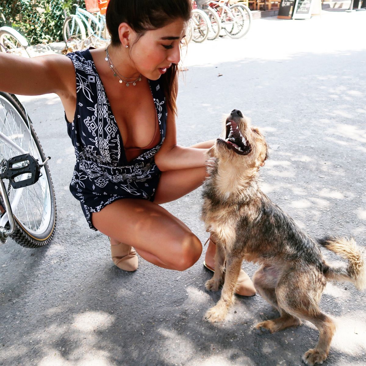 DANIELLA MONET witha Dog, 07/15/2016 Instagram Pictures.