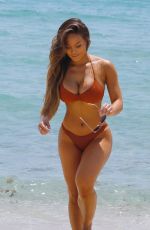 DAPHNE JOY in Bikini at a Beach in Florida 07/24/2017