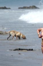 HILARY DUFF in Bikini at a Beach in Malibu 07/09/2017