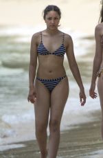 JADE ALLEYNE in Bikini at a Beach in Barbados 07/04/2017