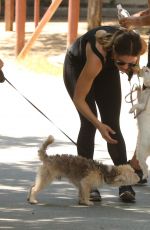 KATHARINE MCPHEE Out with Her Dog in Los Angeles 07/22/2017