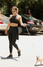 KATHARINE MCPHEE Out with Her Dog in Los Angeles 07/22/2017