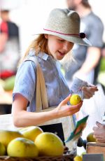 KIERNAN SHIPKA Shopping at Farmer