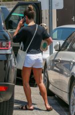 LEA MICHELE Shopping at Whole Foods in Los Angeles 07/06/2017