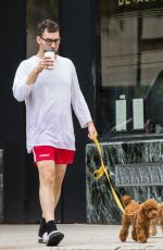 LENA DUNHAM Out with Her Dogs in New York 07/07/2017