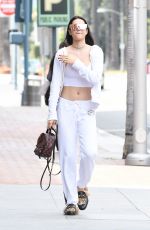 LISA RINNA and AMELIA HAMLIN Out and About in Beverly Hills 07/15/2017
