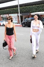 LISA RINNA and AMELIA HAMLIN Out and About in Beverly Hills 07/15/2017