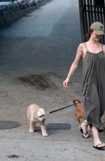 MINKA KELLY at a Dog Park in West Hollywood 07/18/2017