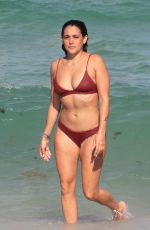 NATALIE MARTINEZ in Bikini at a Beach in Miami 07/08/2017