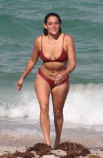 NATALIE MARTINEZ in Bikini at a Beach in Miami 07/08/2017