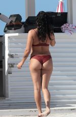 NATALIE MARTINEZ in Bikini on the Beach in Miami 07/05/2017